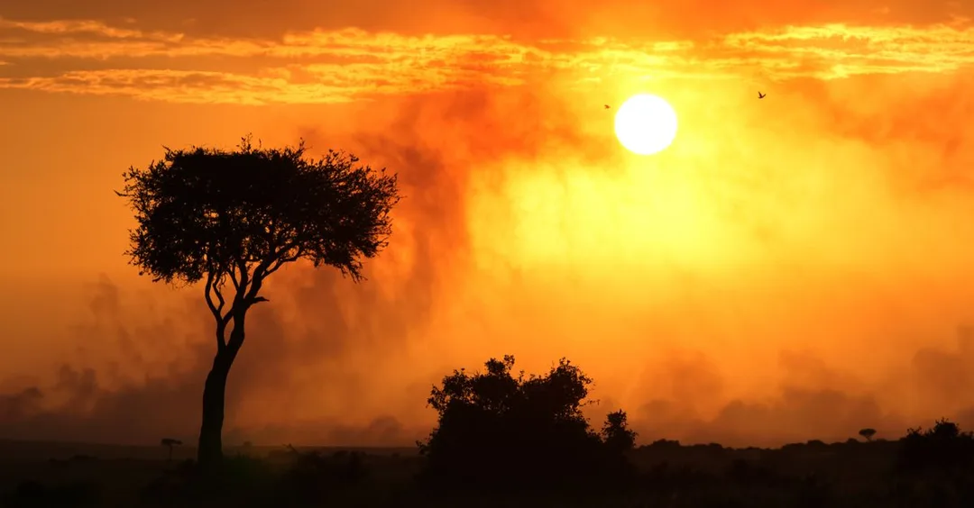 Africa Tour Packages from India: Best Operators and Prices