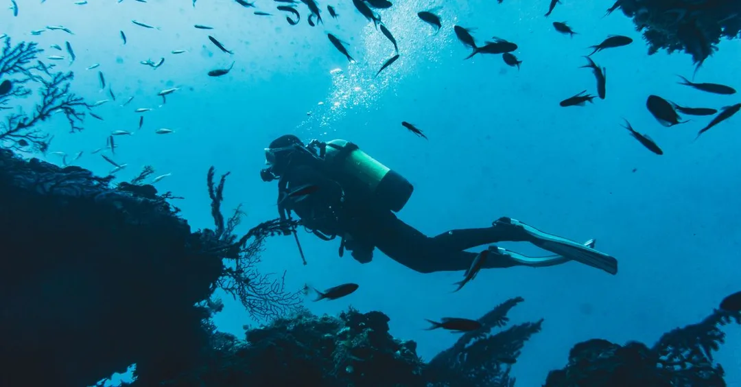 Andaman Scuba Diving Packages 2026: Best Sites, Cost and How to Book