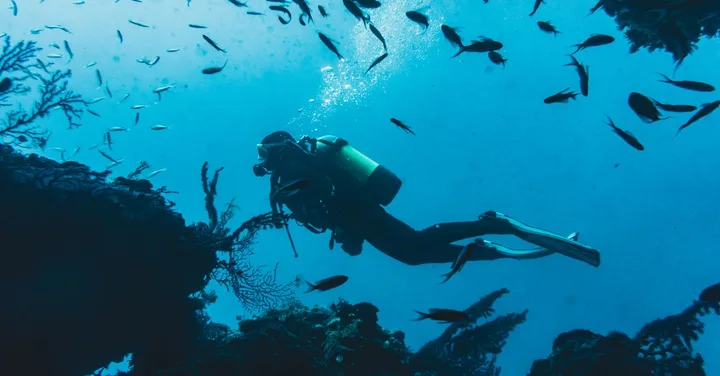 Andaman Scuba Diving Packages 2026: Best Sites, Cost and How to Book