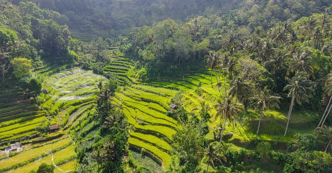 Bali Trip from India 2026: Complete Guide, Cost and Visa Bali Trip from India 2026: Complete Guide, Cost and Visa