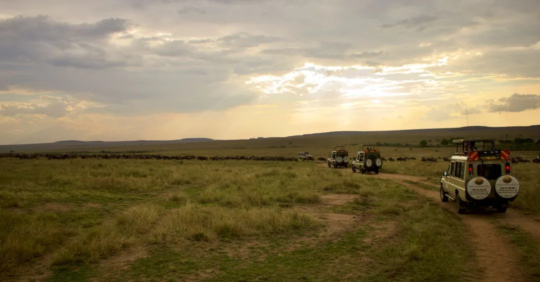 Best African Safari for First-Time Indian Travellers: Complete Guide Best African Safari for First-Time Indian Travellers: Complete Guide