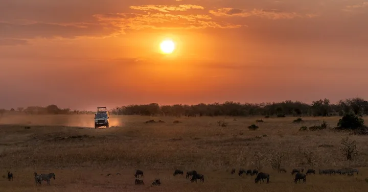 Best Time to Visit Kenya on Safari: Month by Month Honest Guide
