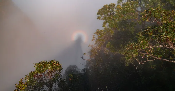 Borneo Malaysia: Orangutan Sanctuaries, Caves and Kinabalu Guide