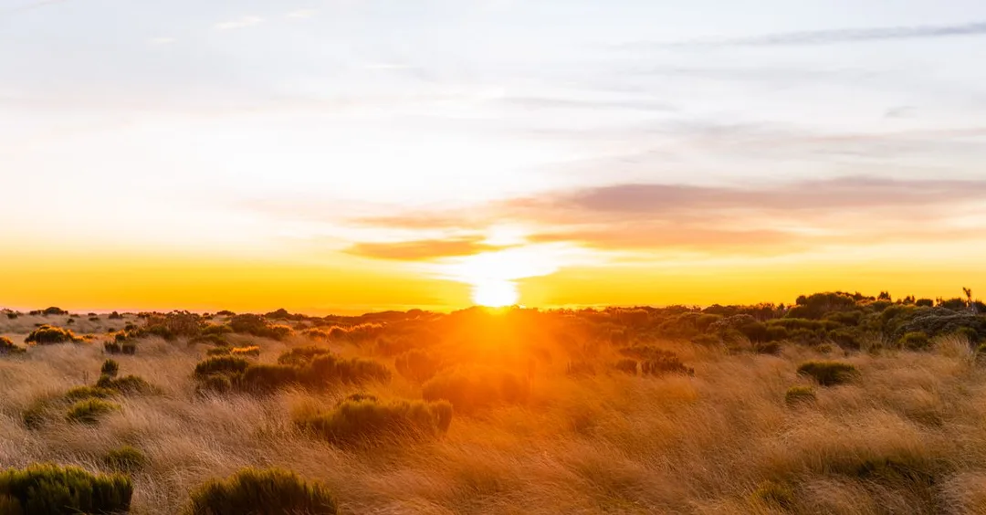 Botswana Safari: Africa's Hidden Gem for Indian Travellers