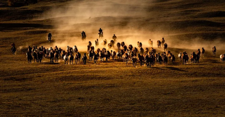 Budget Africa Safari from India: Under ₹1.5 Lakh Options