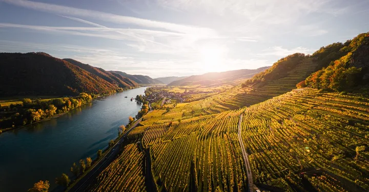 Cape Winelands Day Trip: Stellenbosch and Franschhoek from Cape Town