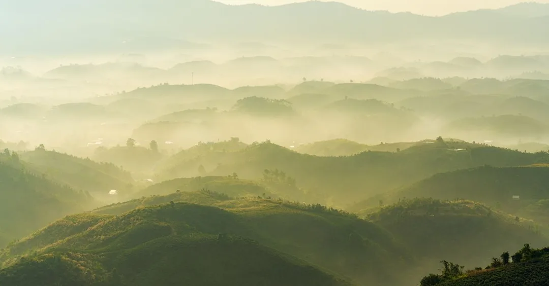Chiang Mai Thailand: Elephants, Night Bazaar and Hill Tribes Guide