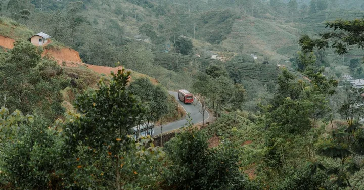 Colombo to Kandy Train Journey: A Guide for Indian Travellers