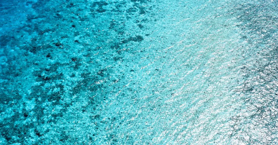 Diani Beach Kenya: South Coast Coral Reefs and Beach Resorts for Indians Diani Beach Kenya: South Coast Coral Reefs and Beach Resorts for Indians