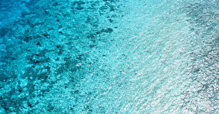 Diani Beach Kenya: South Coast Coral Reefs and Beach Resorts for Indians