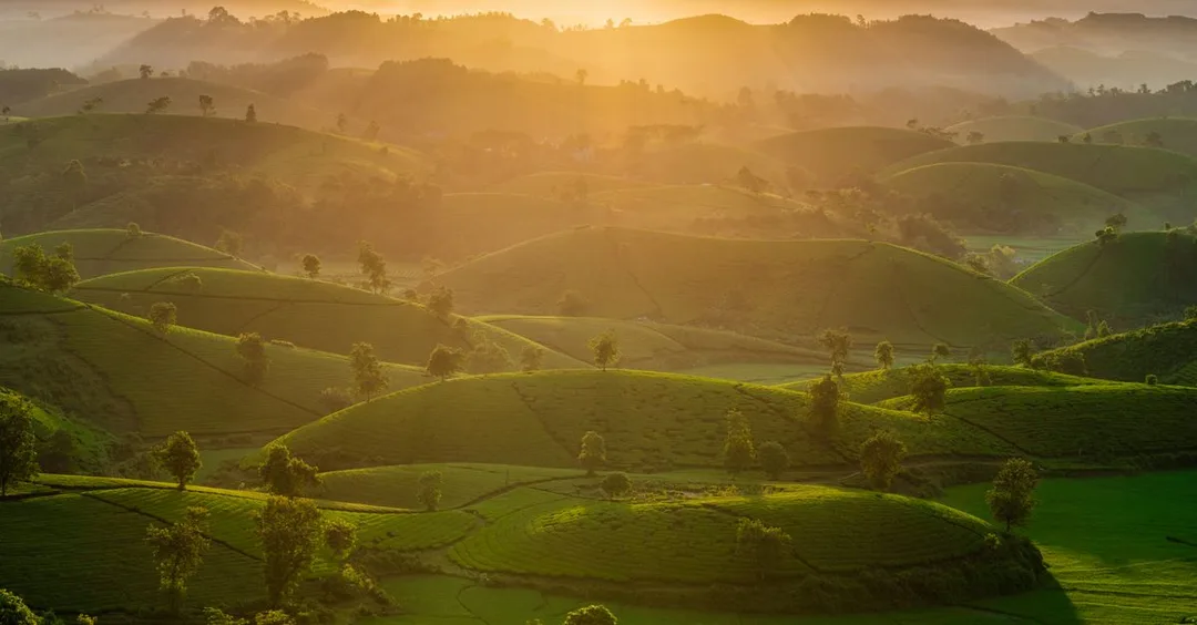 Ella Sri Lanka: Train Through Tea Hills, Nine Arches Bridge and Trekking