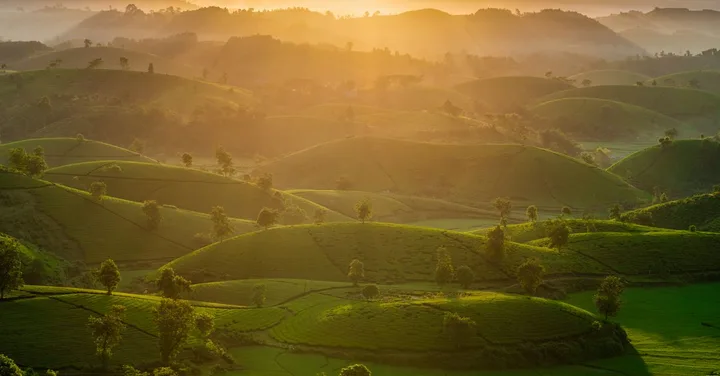 Ella Sri Lanka: Train Through Tea Hills, Nine Arches Bridge and Trekking