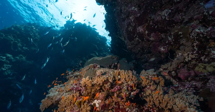 Hurghada Egypt: Red Sea Diving and Beach Resort Guide for Indians