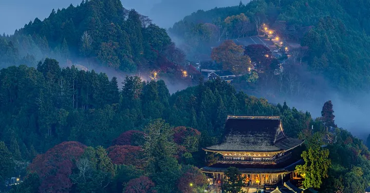 Japan Tour from India 2026: 10-Day Itinerary, Visa and Cost