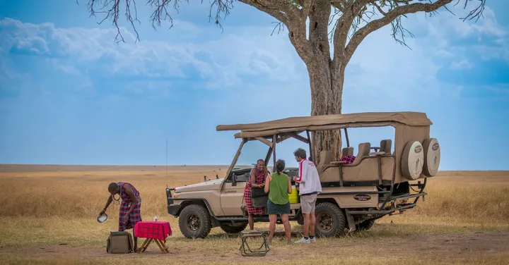Kenya Safari Cost from India: Budget, Mid-Range & Luxury Breakdown