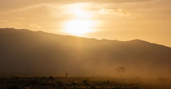 Kenya Safari Packing List 2026: What to Actually Bring from India