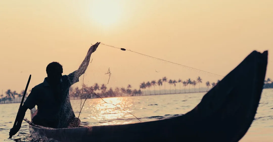 Kerala Backwaters Houseboat Package Guide 2026