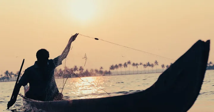 Kerala Backwaters Houseboat Package Guide 2026