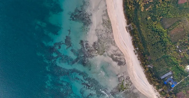 Neil Island Andaman: The Quiet Alternative to Havelock