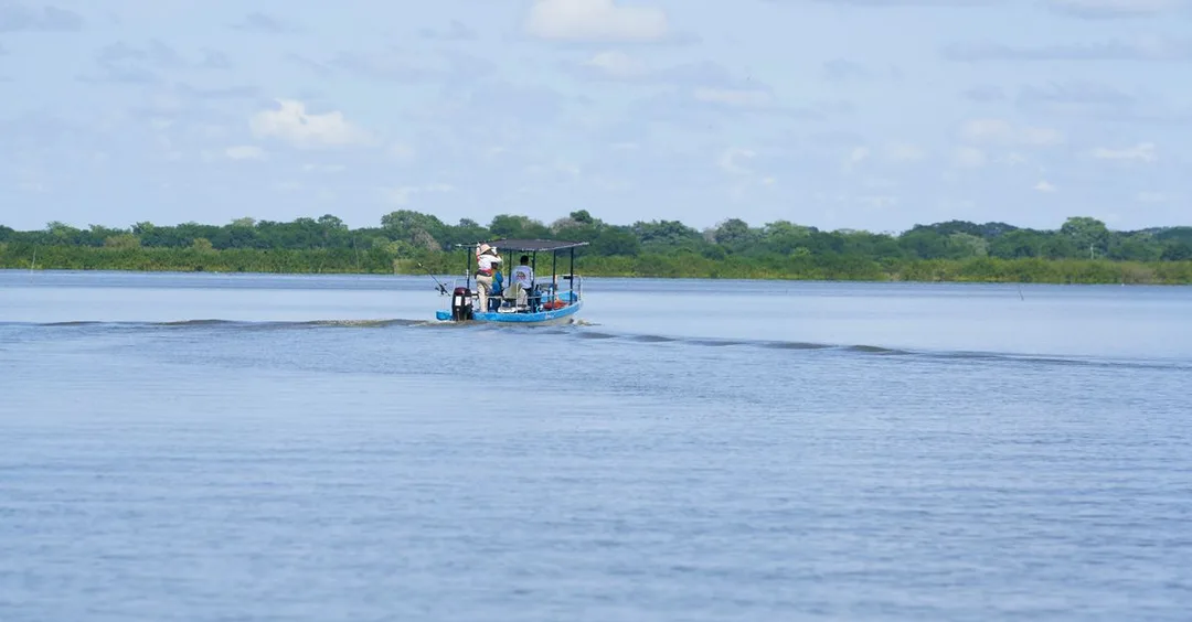 Nyerere National Park Tanzania: Boat Safari and Walking Safari Guide