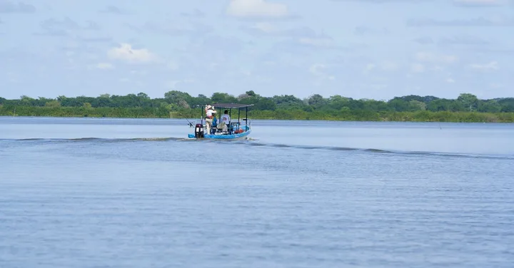 Nyerere National Park Tanzania: Boat Safari and Walking Safari Guide