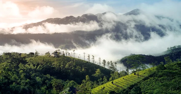 Ooty and Kodaikanal Hill Station Combo Tour 2026