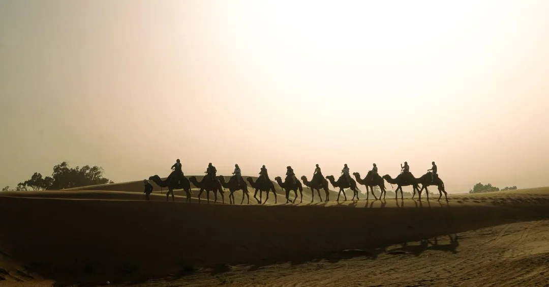 Pushkar Camel Fair 2026: Everything You Need to Know