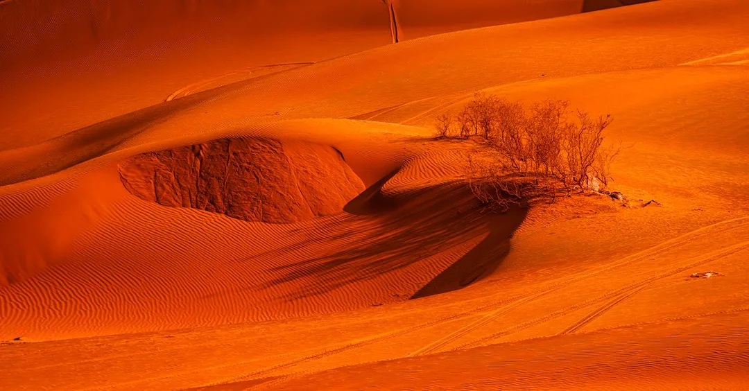 Rajasthan in Summer 2026: Is It Worth Visiting? Honest Take