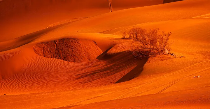 Rajasthan in Summer 2026: Is It Worth Visiting? Honest Take