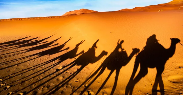 Rann of Kutch Festival Trip 2026: White Desert and Tribal Culture