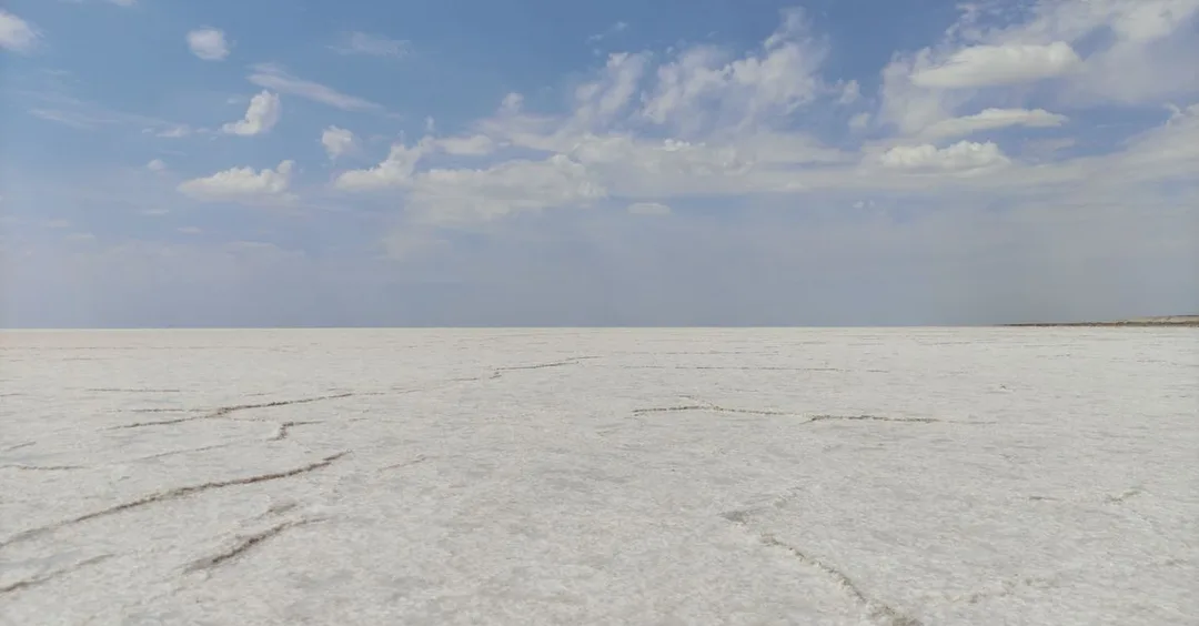 Rann Utsav 2026: Complete Guide to the White Desert Festival