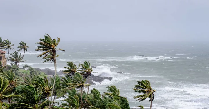 Real Goa Beyond the Tourist Trail: Authentic Experiences 2026