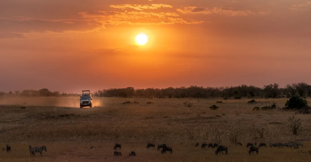 Serengeti Great Migration 2026: Month-by-Month Timing Guide