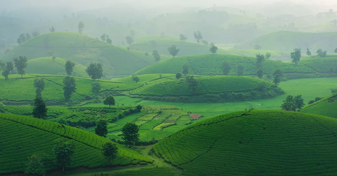 Sri Lanka Tour Packages from India: 7-Day Itinerary and Cost