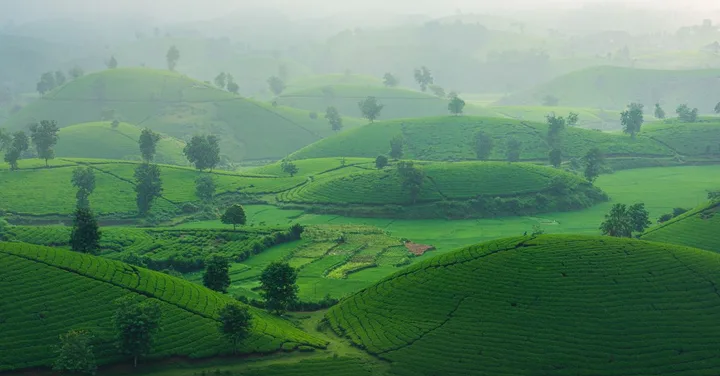 Sri Lanka Tour Packages from India: 7-Day Itinerary and Cost
