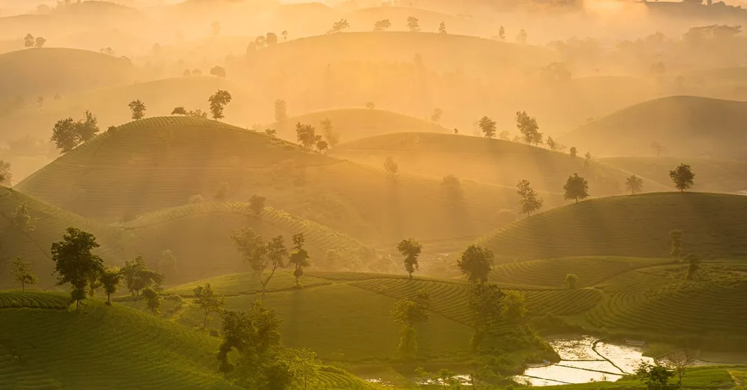 Tanzania and Zanzibar Combo Holiday from India: Best Packages