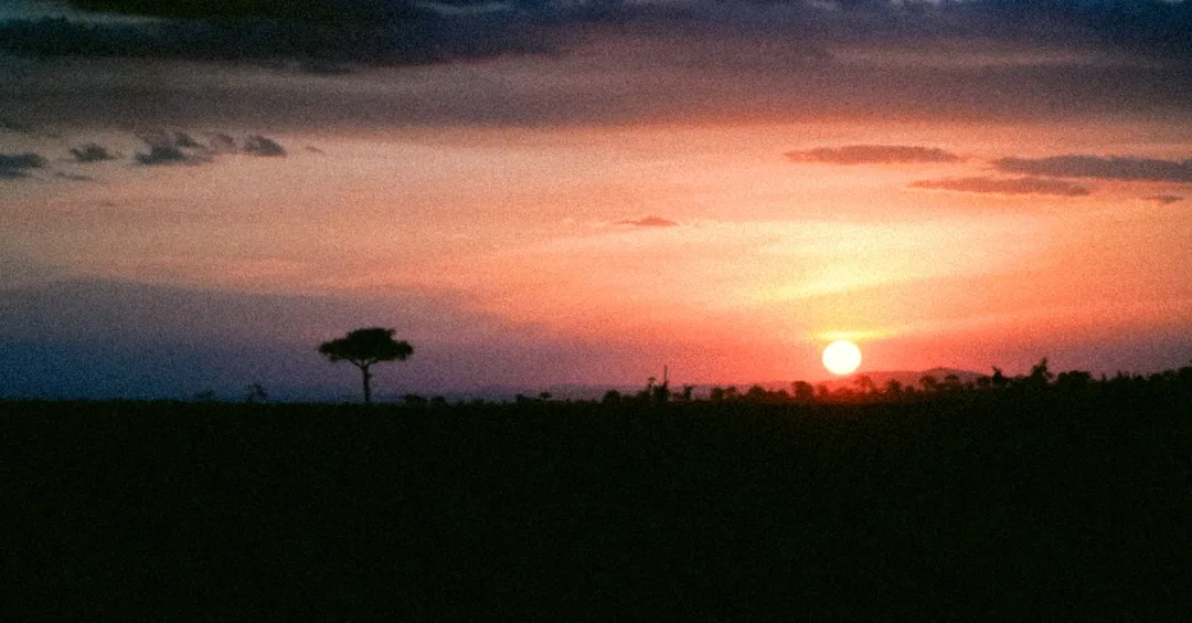 Tanzania Budget Safari Guide: How to Do It Under 2 Lakh