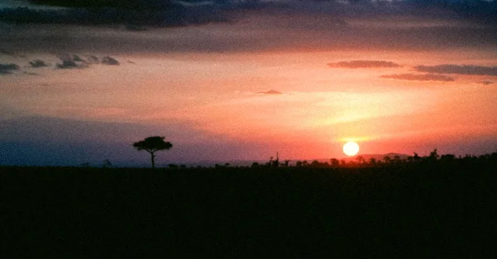 Tanzania Budget Safari Guide: How to Do It Under 2 Lakh