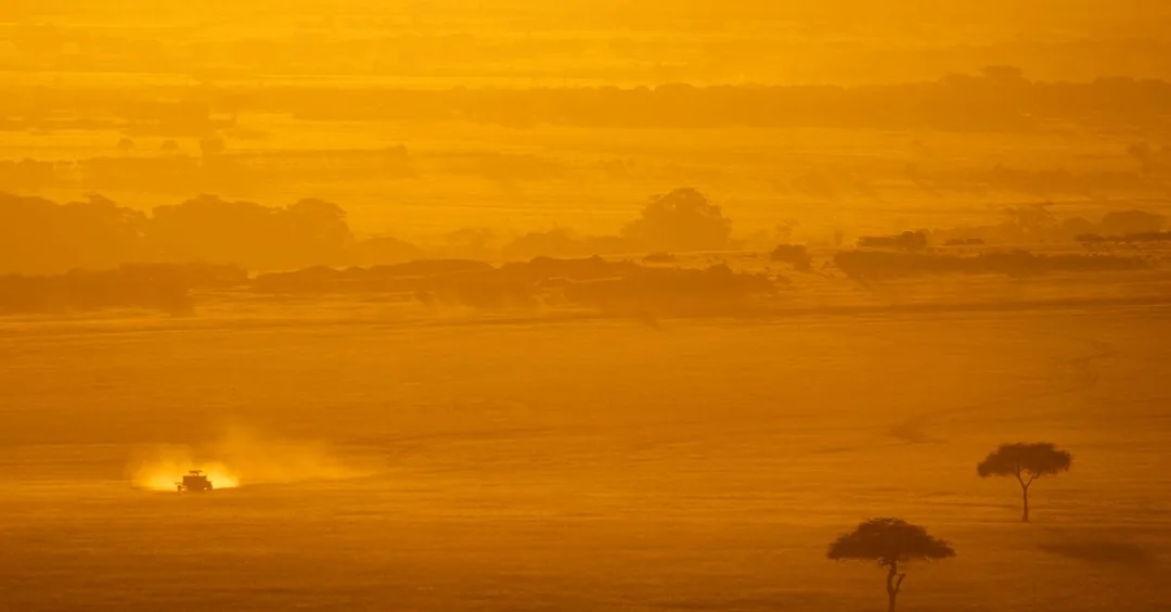 Tanzania Safari Packages from India: 7 and 10 Day Itineraries