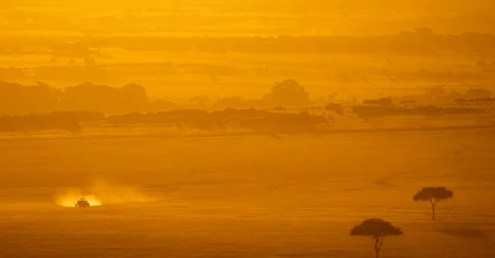 Tanzania Safari Packages from India: 7 and 10 Day Itineraries
