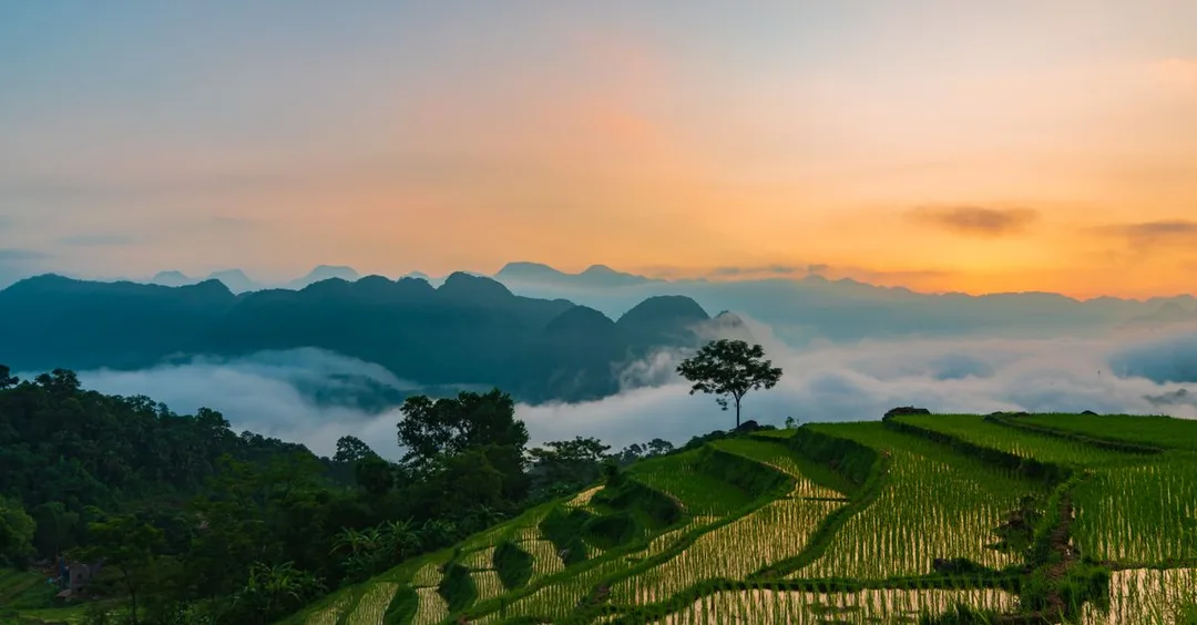 Ubud Bali Deep Dive: Rice Terraces, Temple Ceremonies and Cooking Classes