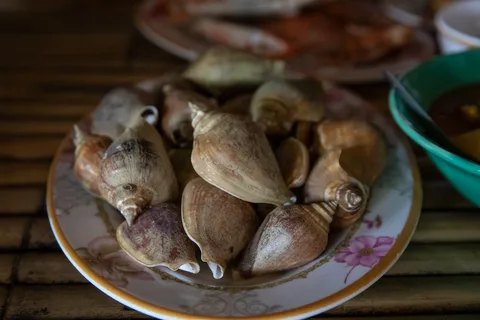 Local Seafood at Andaman Islands | Safari Sutra Holidays Fresh Andaman seafood grilled on beach — local cuisine for Indian travellers | Safari Sutra Holidays