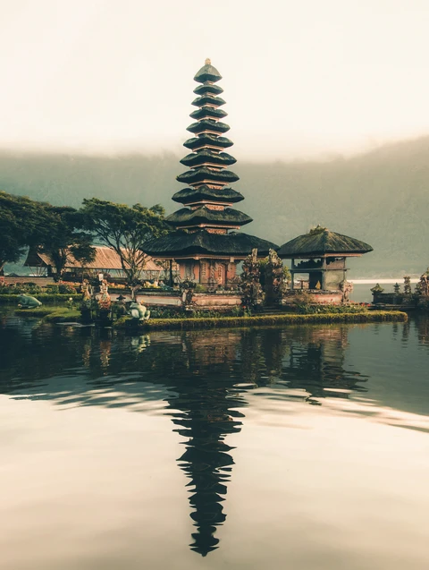 Bali rice terraces and tropical landscape