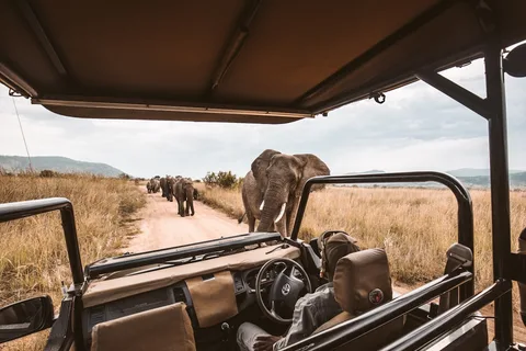 Luxury Safari Camps in Botswana | Safari Sutra Holidays Luxury tented safari camp with private deck overlooking the African bush — Botswana lodge