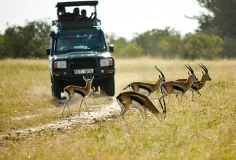 Central Kalahari Game Reserve Central Kalahari Game Reserve