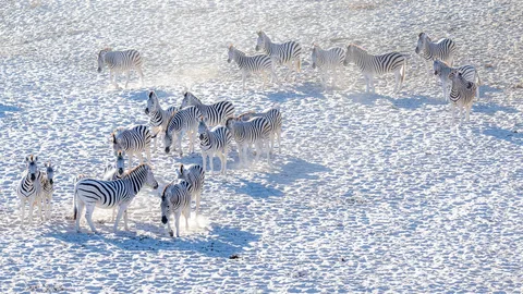 Makgadikgadi Pans Makgadikgadi Pans