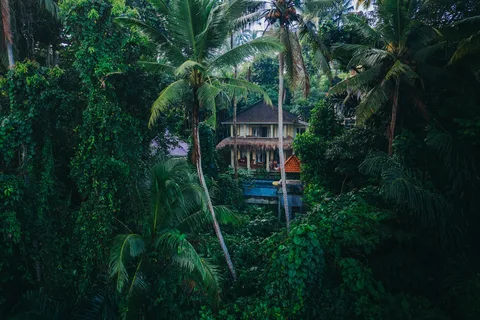 Curated Hotels in Brunei | Safari Sutra Holidays Luxury jungle lodge Brunei Darussalam — premium accommodation on Brunei tour packages | Safari Sutra