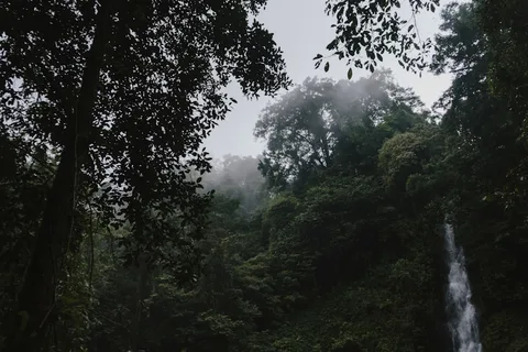 Ulu Temburong National Park Ulu Temburong National Park