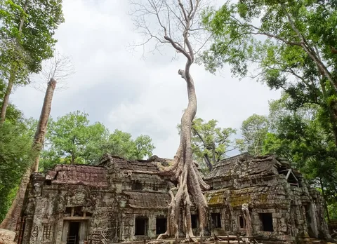 Ta Prohm Ta Prohm