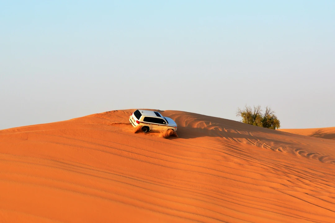 Desert Safari – Arabian Adventure Desert Safari – Arabian Adventure